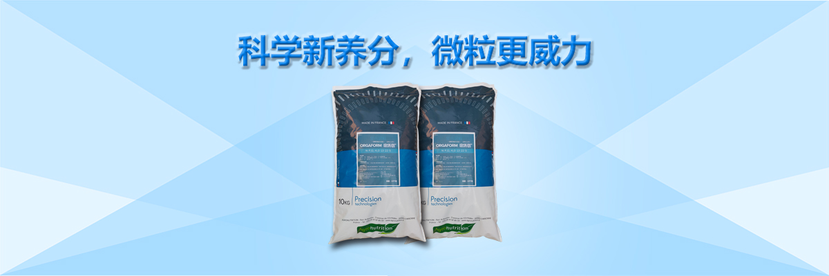 云顶4008集团手机登录