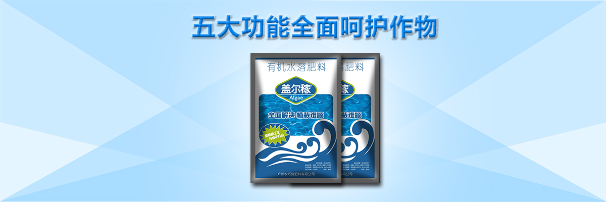 云顶4008集团手机登录