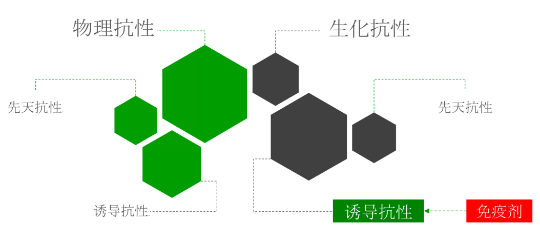 云顶4008集团手机登录