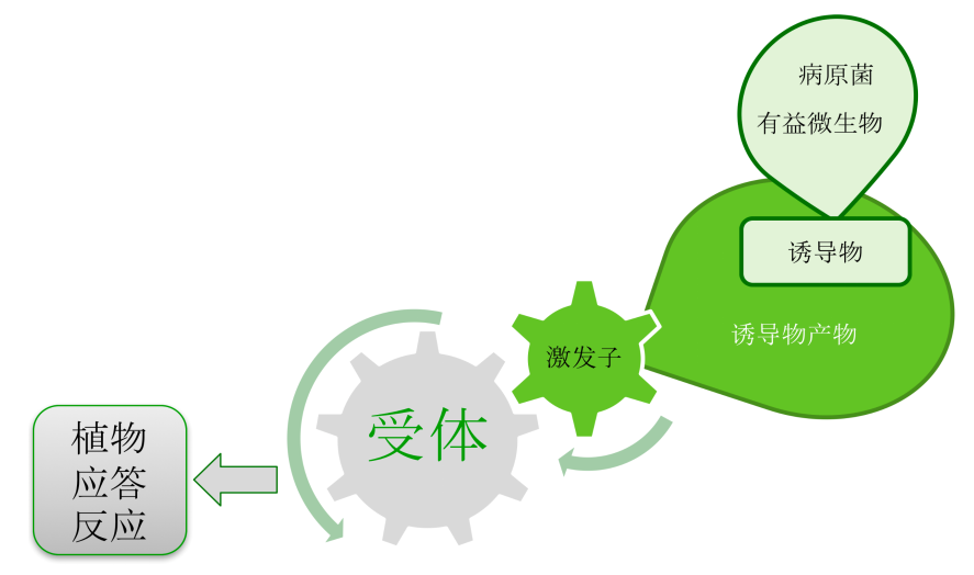 云顶4008集团手机登录