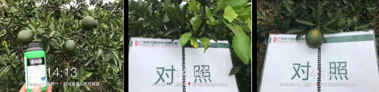 云顶4008集团手机登录