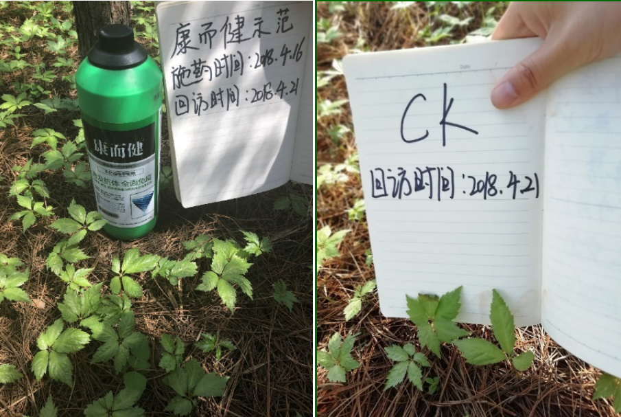 云顶4008集团手机登录