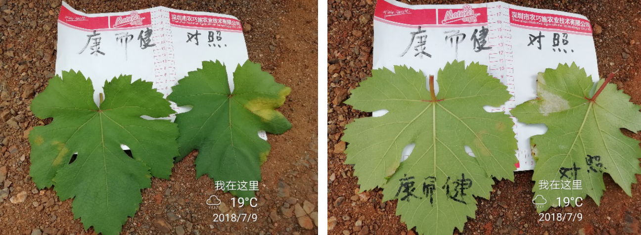 云顶4008集团手机登录