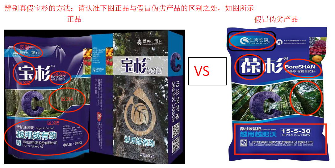 云顶4008集团手机登录