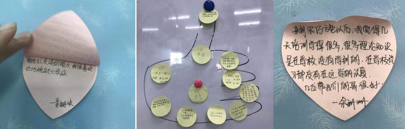 云顶4008集团手机登录