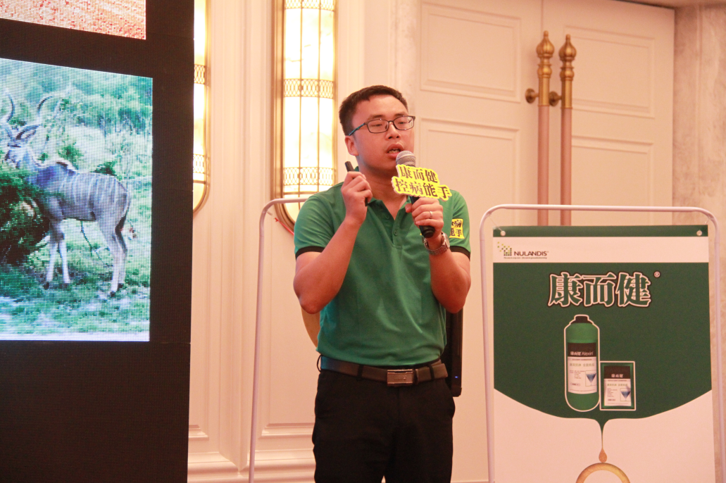 云顶4008集团手机登录