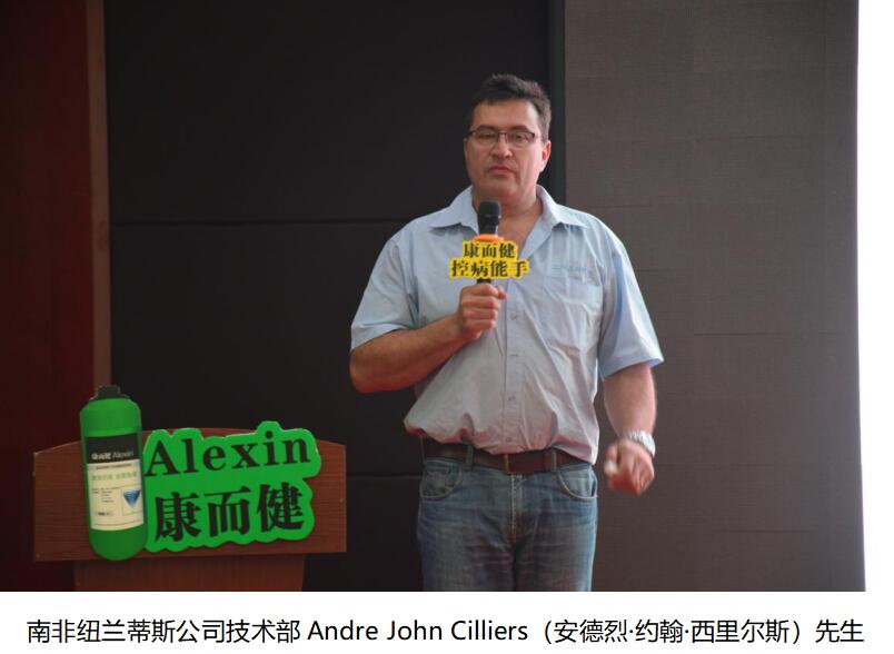 云顶4008集团手机登录