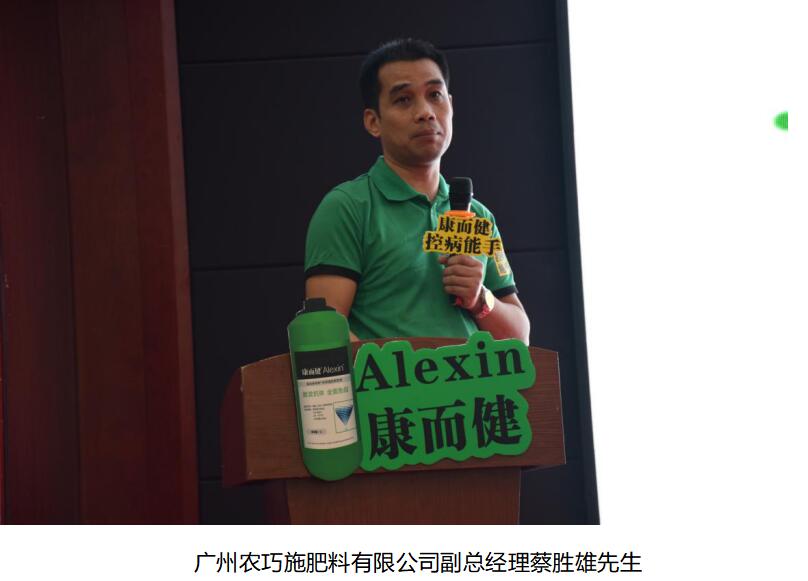 云顶4008集团手机登录