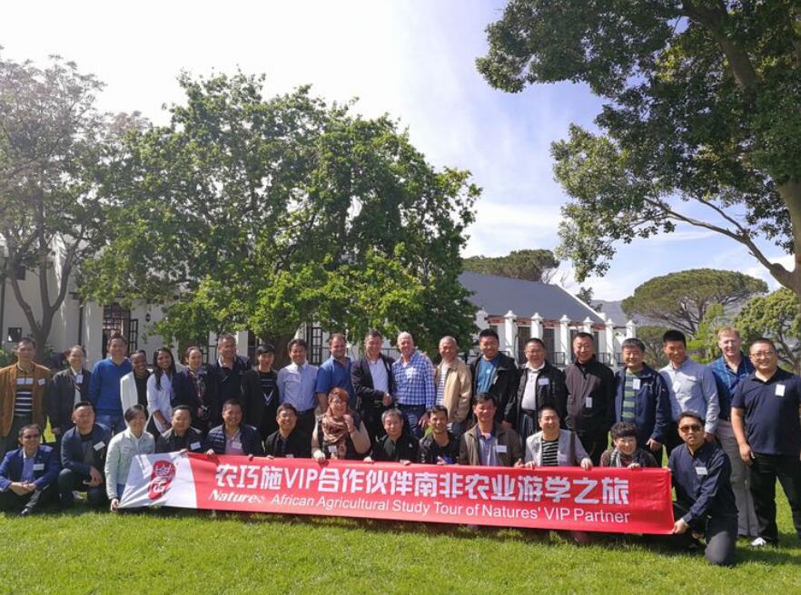 云顶4008集团手机登录