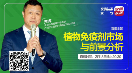 云顶4008集团手机登录