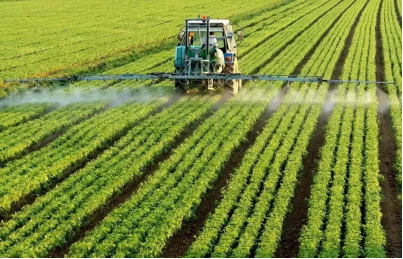 云顶4008集团手机登录