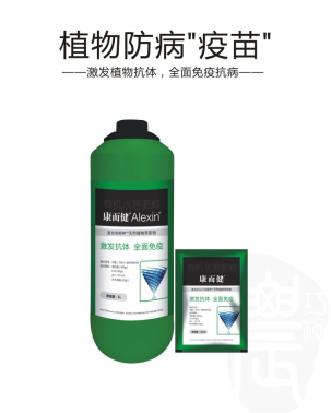 云顶4008集团手机登录