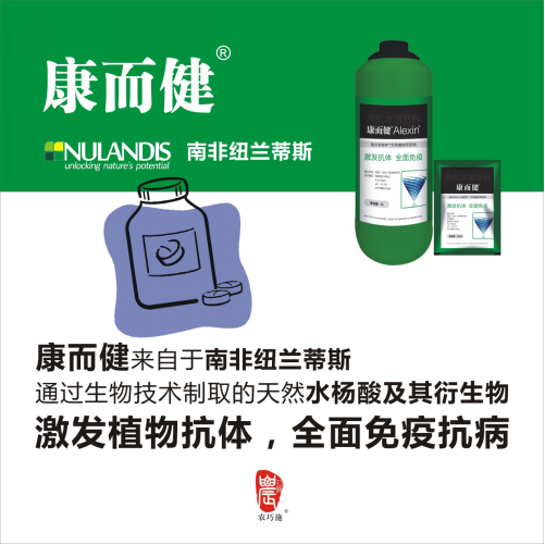 云顶4008集团手机登录