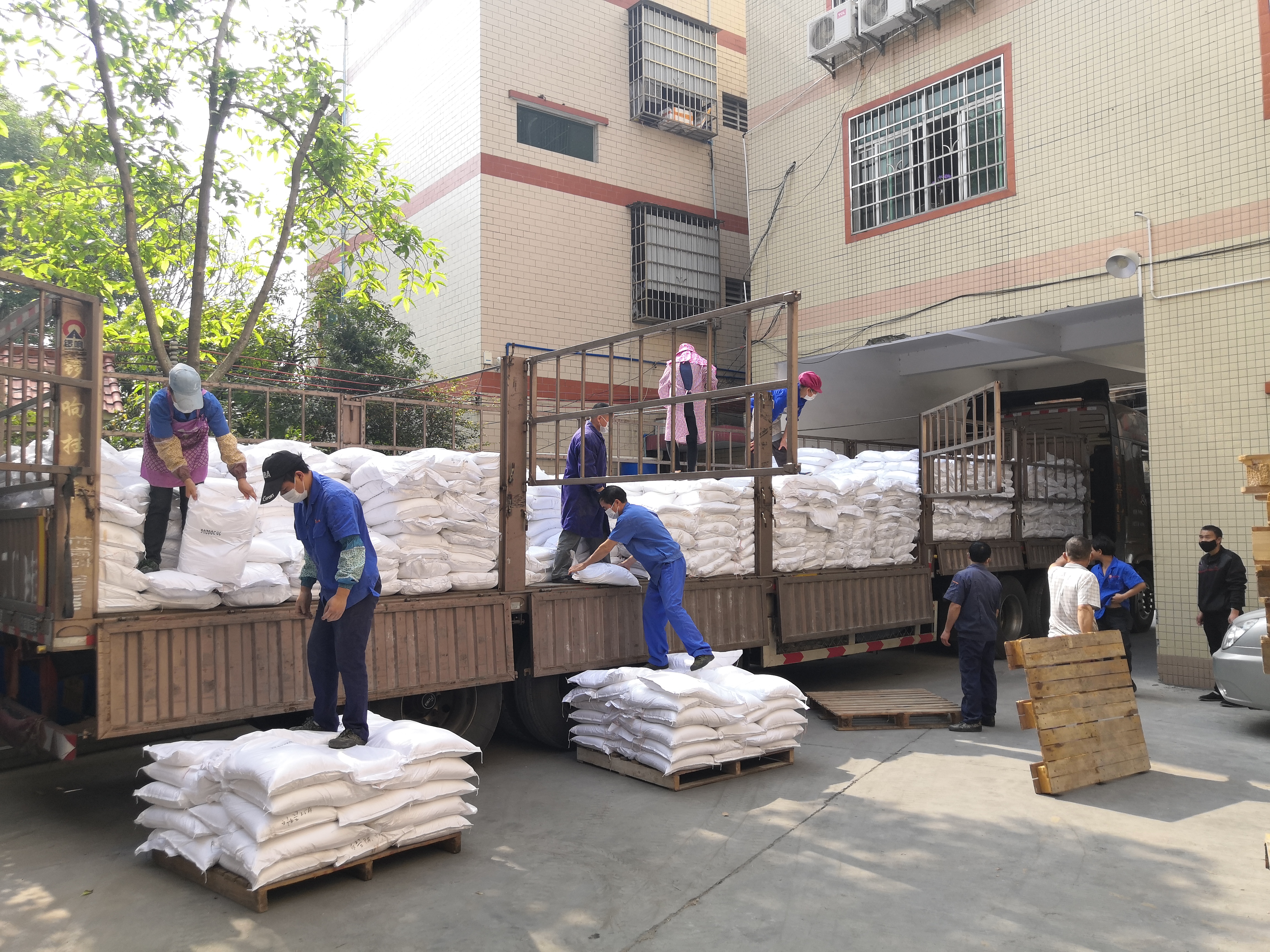 云顶4008集团手机登录