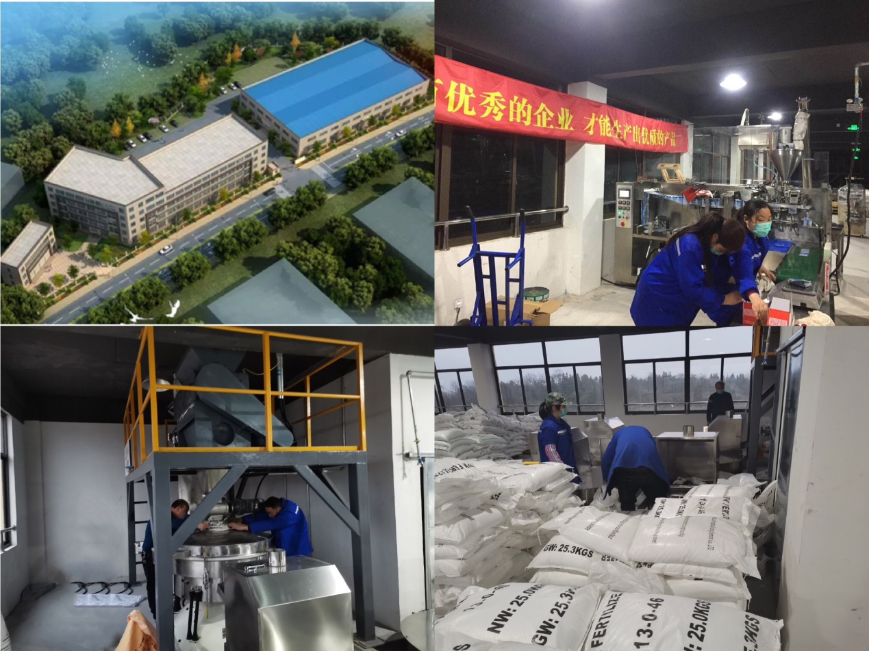 云顶4008集团手机登录