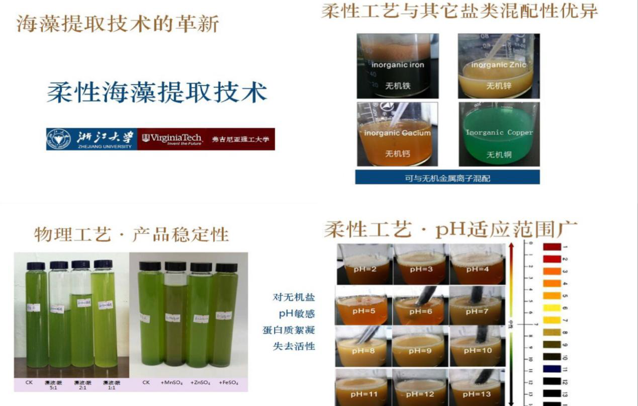 云顶4008集团手机登录