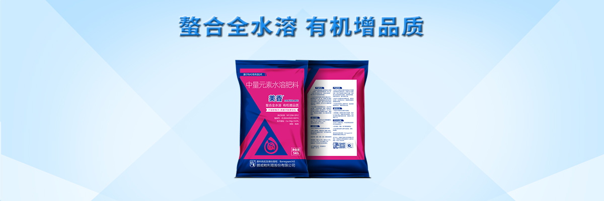 云顶4008集团手机登录