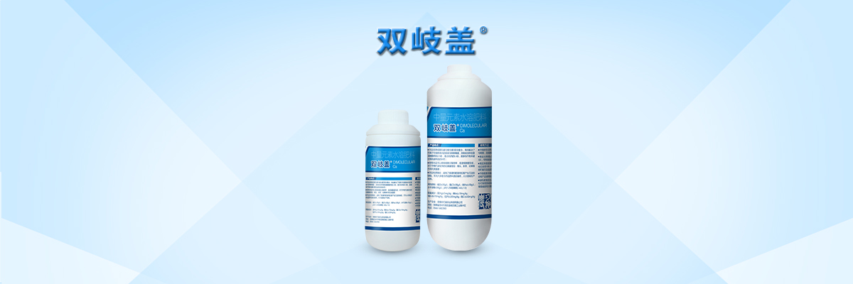 云顶4008集团手机登录