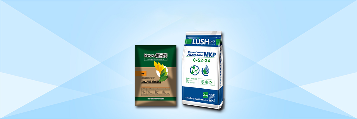 云顶4008集团手机登录