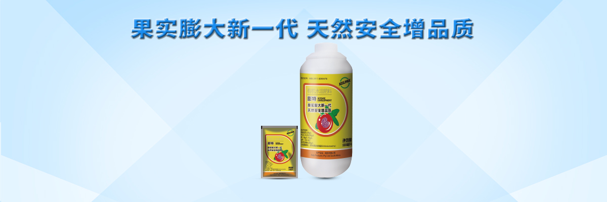 云顶4008集团手机登录