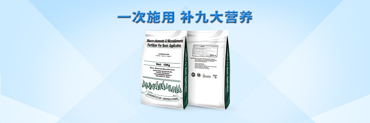 云顶4008集团手机登录