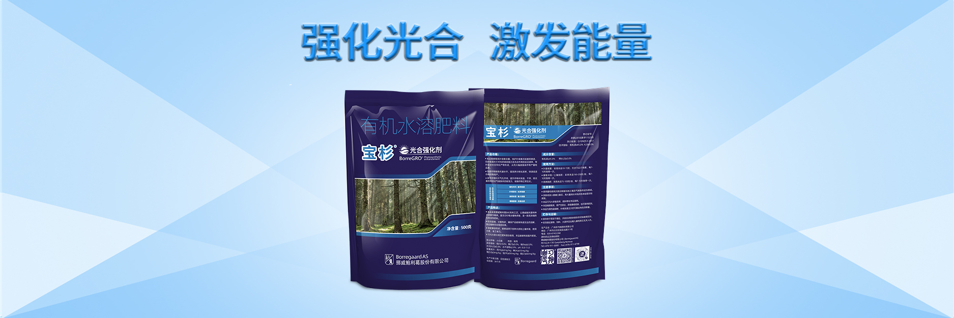 云顶4008集团手机登录