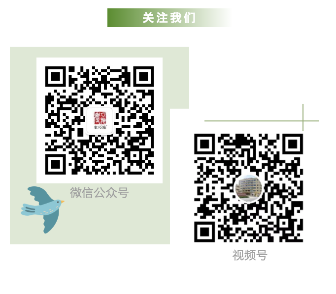 云顶4008集团手机登录