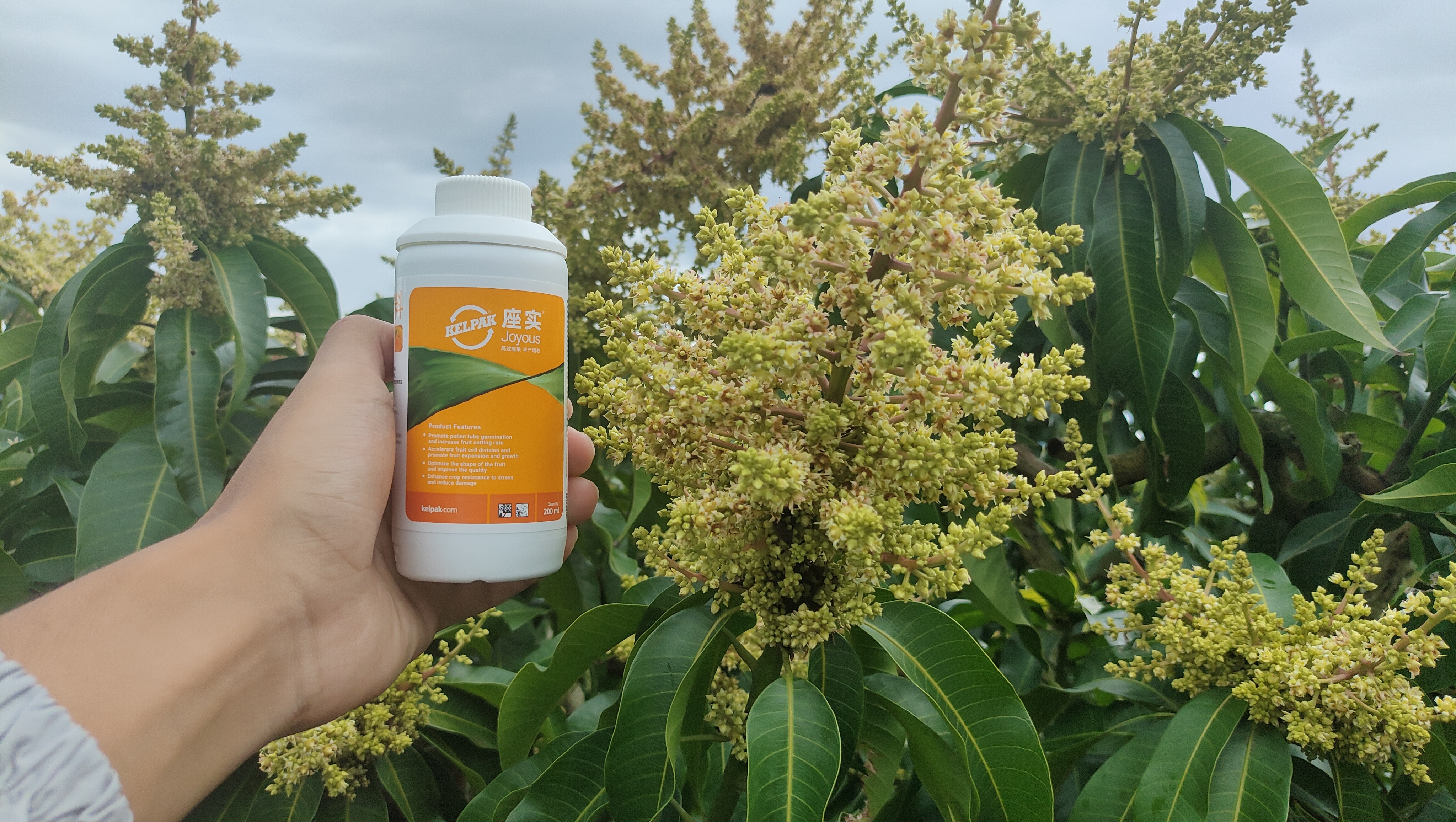 云顶4008集团手机登录