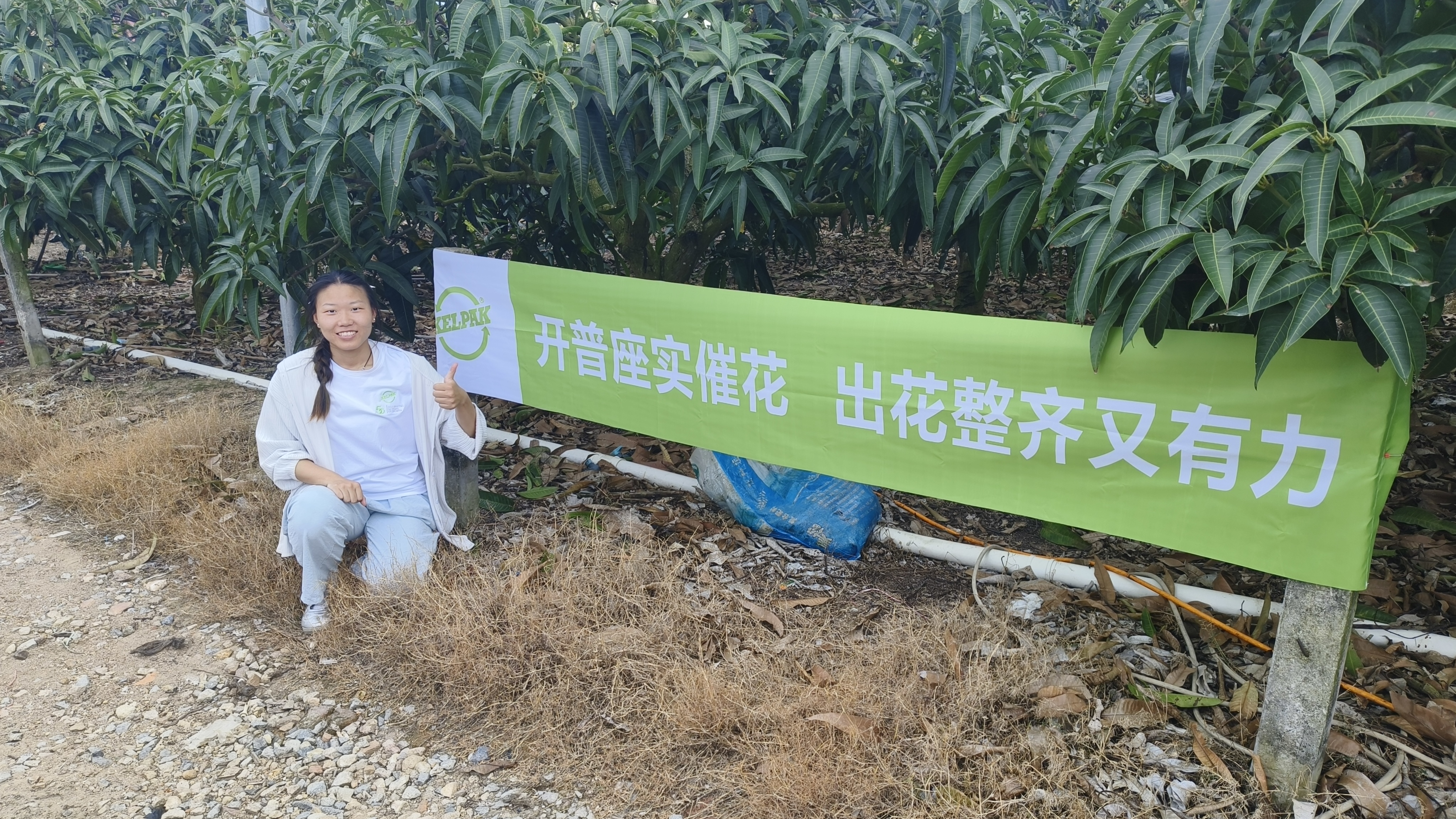 云顶4008集团手机登录