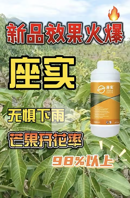 云顶4008集团手机登录